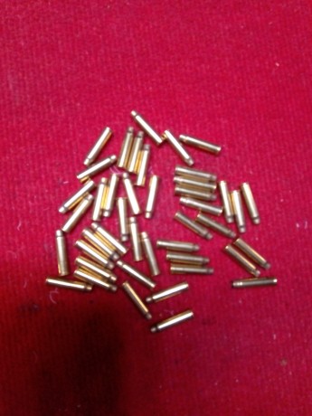 Hola muy buenas compañeros, pues lo dicho, estoy interesado en comprar vainas usadas del 17hmr. El que 110