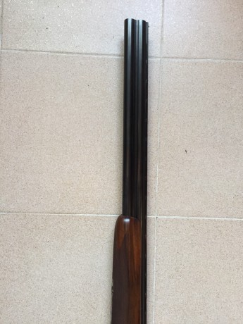 Hola.
Un compañero de armas vende una maginifica escopeta AYA. Está fabricada a mano y con maderas escogidas. 01