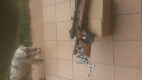Hola, vendo carabina Anchugt 1913 con o sin visor Sutter 8-32-50 
Es muy precisa y se puede usar para 00