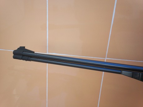 vendo carabina gamo cf20  cal 4.5 impoluta ecepto por unas marcas que tiene en la culata,solo ha tenido 11