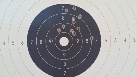 He adquirido recientemente una carabina Chiappa M1 en 9 mm. Le monte un punto rojo Bushnell que rompió 110