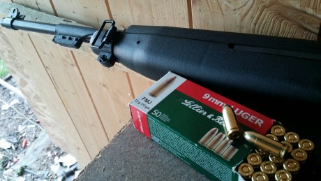 He adquirido recientemente una carabina Chiappa M1 en 9 mm. Le monte un punto rojo Bushnell que rompió 130