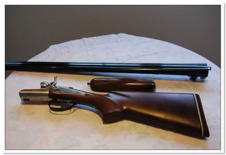 Vendo escopeta paralela, marca EX, calibre 16 de perrillos, con cañones de 71 cm de longitud, con choque 01