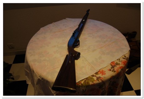 Carabina marca Remington del calibre 22, semiautomática, de baquelita con carga trasera de 16 cartuchos. 00