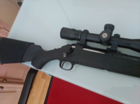 Por capricho de tener un rifle en ese calibre, ofrezco mi ligerísimo Ruger de cerrojo en 308, culata sintética, 10