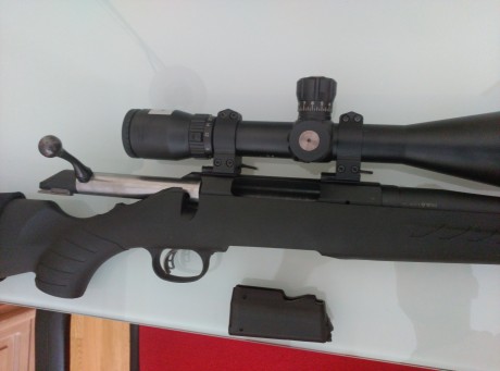 Por capricho de tener un rifle en ese calibre, ofrezco mi ligerísimo Ruger de cerrojo en 308, culata sintética, 00