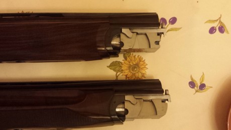 Hola compañeros,alguno sabría decirme algo sobre esta nueva escopeta de Rizzini,alguno la ha probado.
Estoy 132