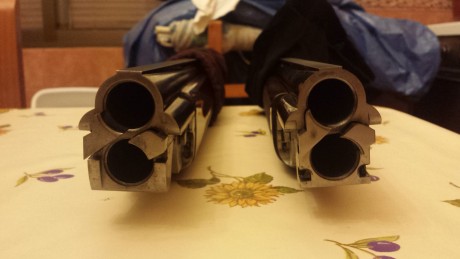 Hola compañeros,alguno sabría decirme algo sobre esta nueva escopeta de Rizzini,alguno la ha probado.
Estoy 131