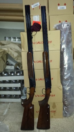 Hola compañeros,alguno sabría decirme algo sobre esta nueva escopeta de Rizzini,alguno la ha probado.
Estoy 142