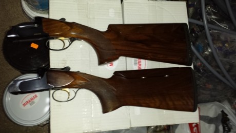 Hola compañeros,alguno sabría decirme algo sobre esta nueva escopeta de Rizzini,alguno la ha probado.
Estoy 141