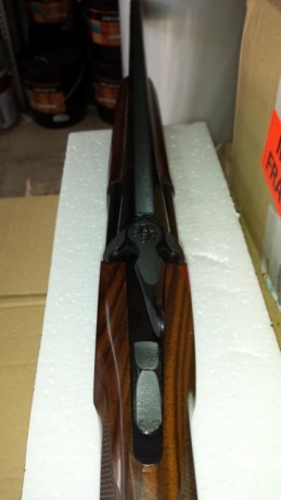 Hola compañeros,alguno sabría decirme algo sobre esta nueva escopeta de Rizzini,alguno la ha probado.
Estoy 151
