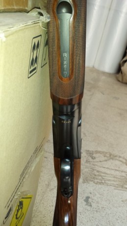Hola compañeros,alguno sabría decirme algo sobre esta nueva escopeta de Rizzini,alguno la ha probado.
Estoy 150