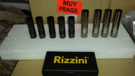 Hola compañeros,alguno sabría decirme algo sobre esta nueva escopeta de Rizzini,alguno la ha probado.
Estoy 161