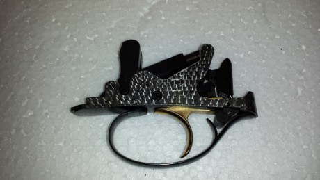 Hola compañeros,alguno sabría decirme algo sobre esta nueva escopeta de Rizzini,alguno la ha probado.
Estoy 160