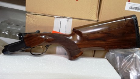 Hola compañeros,alguno sabría decirme algo sobre esta nueva escopeta de Rizzini,alguno la ha probado.
Estoy 170