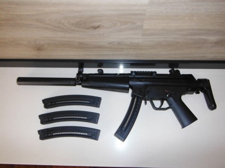 Vendida!!!
Carabina GSG5, con dos culatas, railes y cuatro cargadores de 22 cartuchos por 400€.
Un saludo 01