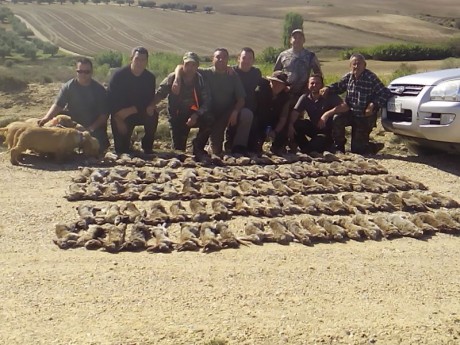 Me gustaría saber cuan representado esta el sector de la caza en Armas.es, pues en lineas generales parecemos 22