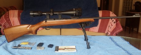 Hola a todos, estoy pensando en adquirir una carabina del 22lr. La quiero para tiro informal en campo 70