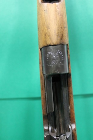 Hola quisiera pedir consejo sobre estos dos rifles que les tengo echados el ojo, ambos me gustan pero 82