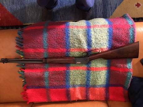 Hola, pongo a la venta carabina del calibre 22 marca browning modelo bl22, en perfecto estado, como nueva, 01