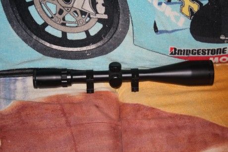 Visor Bushnell Banner 3-9x50. 
- Tubo: 1".
- Retícula: Multi-X.
- Acabado: Mate.
- Peso: 539 gr.
- 52