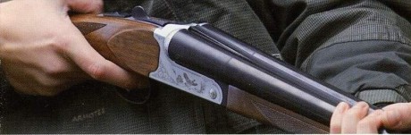 Hola,
Estoy buscando una paralela 410 stinger para un familiar que se está iniciando,si algún compañero 01