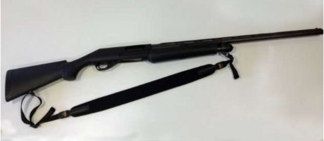Pongo anuncio de amiguete a peticion suya.

Vendo Escopeta Benelli Nova Pump (repetición) del calibre 02