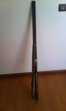 Hola,
Vendo paralela Ignacio Ugartechea calibre.12.Expulsora, pletinas enteras desmontables de 71 cm de 00