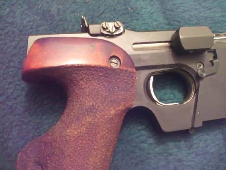 Vendida 61