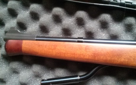 Vendo hw 97 y gamo stutzen.
4,5 las dos.
La hw a 16j, impecable.  260e

La stutzen A ESTRENAR, totalmente 10
