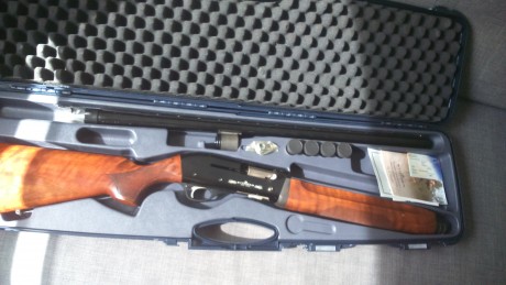 vendo escopeta stinger semiauto 12/76 recamara magnum,nueva a estrenar sin pegar ni un tiro.
250€,con 00