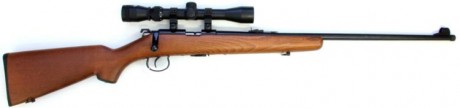 Me acabo de comprar una carabina del .22 LR fuerte, de oferta, nueva, con cuatro cargadores, semiautomática, 72