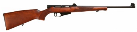 Me acabo de comprar una carabina del .22 LR fuerte, de oferta, nueva, con cuatro cargadores, semiautomática, 70