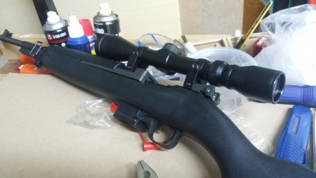 He adquirido recientemente una carabina Chiappa M1 en 9 mm. Le monte un punto rojo Bushnell que rompió 41