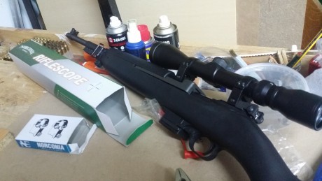 He adquirido recientemente una carabina Chiappa M1 en 9 mm. Le monte un punto rojo Bushnell que rompió 40
