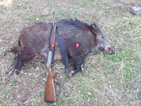 Buenas tardes a todos;

Estoy pensando en adquirir un Browning Long Track Hunter para monterias y a ver 20