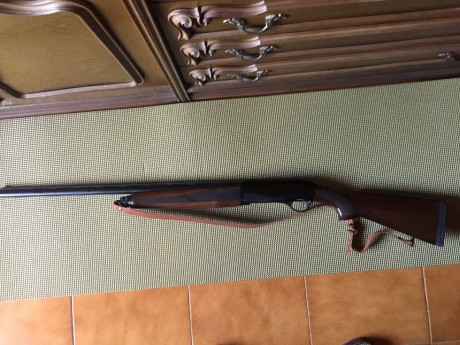 Escopeta Pardus Mod. AL 
semiautomática, con sistema 2 pistons  Cal. 12-71 cm de cañon, culata de madera.
El 02