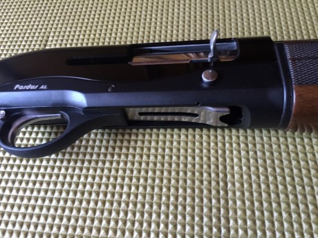 Escopeta Pardus Mod. AL 
semiautomática, con sistema 2 pistons  Cal. 12-71 cm de cañon, culata de madera.
El 01