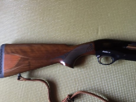 Escopeta Pardus Mod. AL 
semiautomática, con sistema 2 pistons  Cal. 12-71 cm de cañon, culata de madera.
El 11