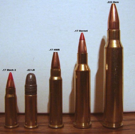 ¿Hola alguien sabe si en España se importa alguna carabina o rifle del calibre  .17 WINCHESTER SUPER MAGNUM 50