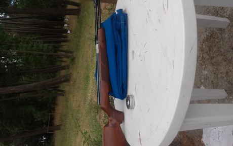 Vendo hw 97 y gamo stutzen.
4,5 las dos.
La hw a 16j, impecable.  260e

La stutzen A ESTRENAR, totalmente 90