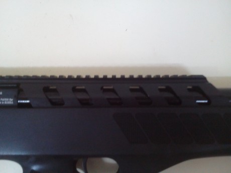 Hola, parece ser que ya tenemos esta carabina  en una armería en España.  Alguien la tiene  o sabe algo 01