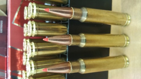 Buenas tardes a todos;

Estoy pensando en adquirir un Browning Long Track Hunter para monterias y a ver 140