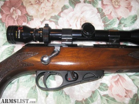 Me acabo de comprar una carabina del .22 LR fuerte, de oferta, nueva, con cuatro cargadores, semiautomática, 02