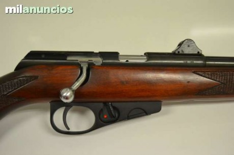 Me acabo de comprar una carabina del .22 LR fuerte, de oferta, nueva, con cuatro cargadores, semiautomática, 01