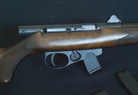 Me acabo de comprar una carabina del .22 LR fuerte, de oferta, nueva, con cuatro cargadores, semiautomática, 00
