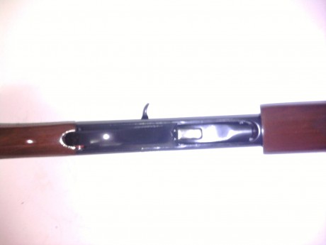 Vendo Remington 1100 Lt cal. 20 , de tres estrellas , recamara 20/70 mm . Esta en perfecto estado tanto 11