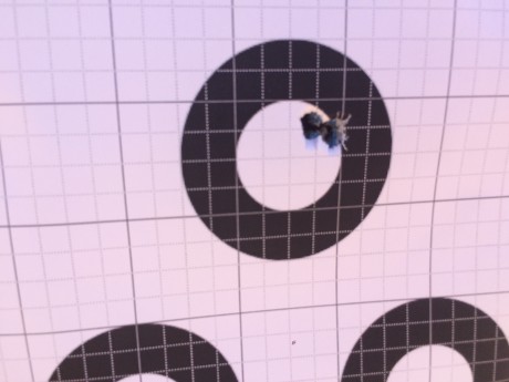 ¿Nos animamos a mostrar blancos de nuestros rifles de caza habituales? Con la munición que habitualmente 81