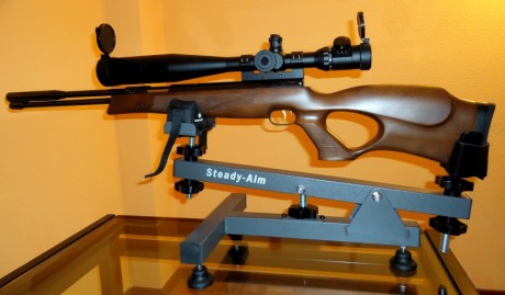   VENDIDO  

 Lo vendo porque no me voy a dedicar al “field target” con pistón y me paso a “Benchrest 00