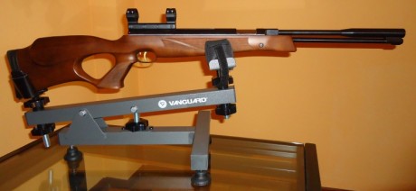   VENDIDO  

 Lo vendo porque no me voy a dedicar al “field target” con pistón y me paso a “Benchrest 12